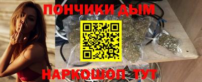 индика Шелехов